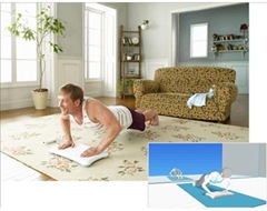 wiifit