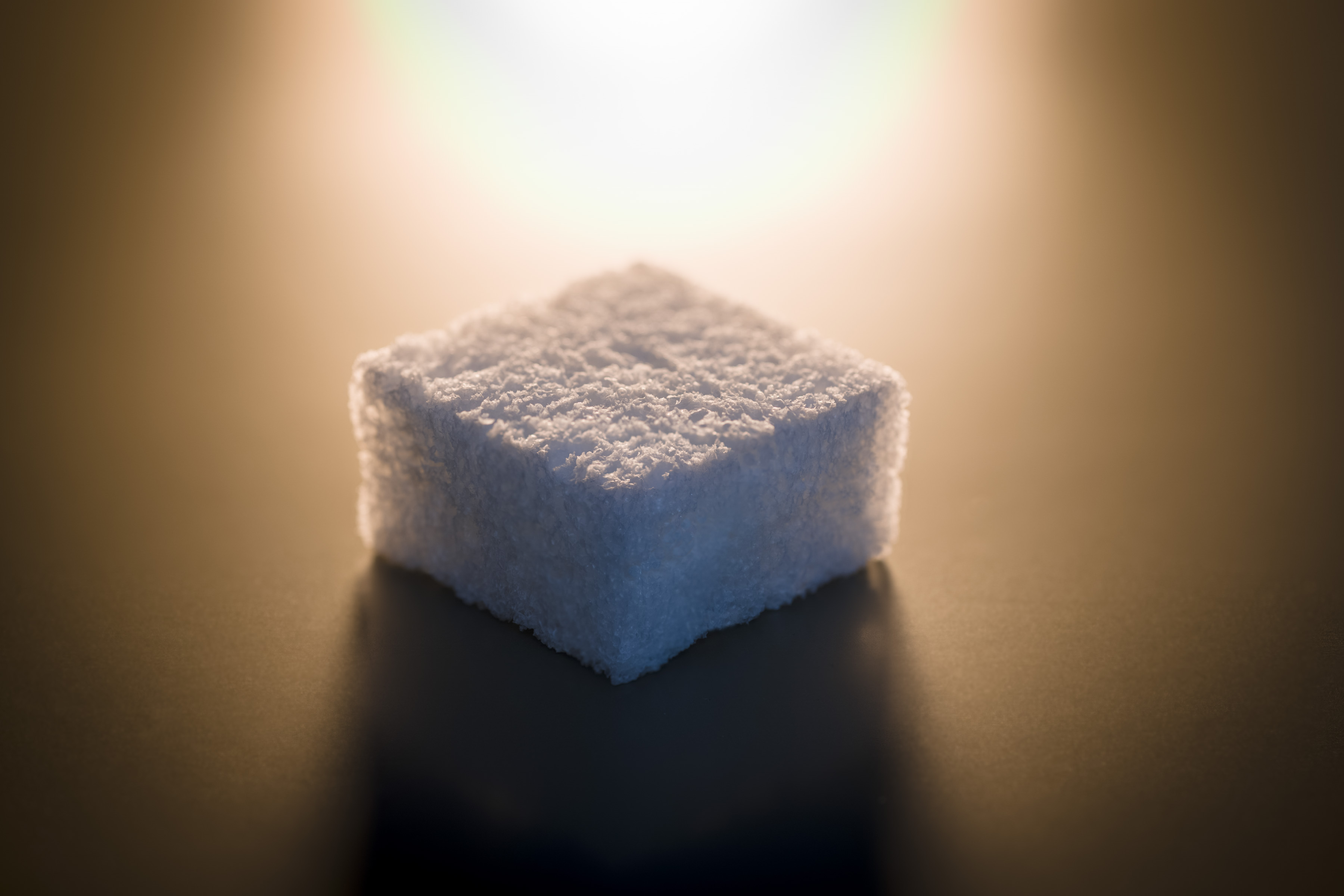 A block of chitin-formed cruz foam on a table.