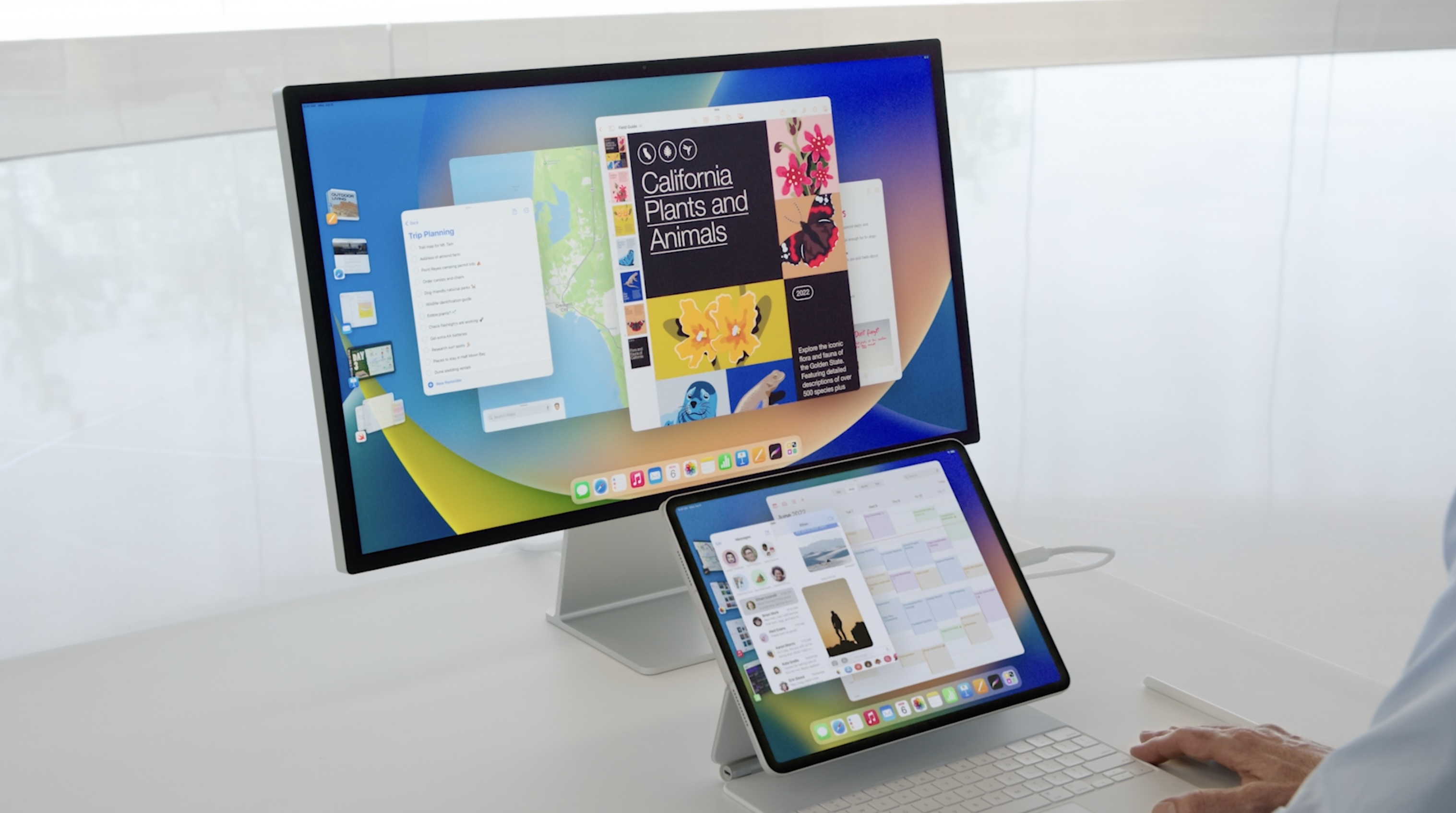 large and small Apple monitors