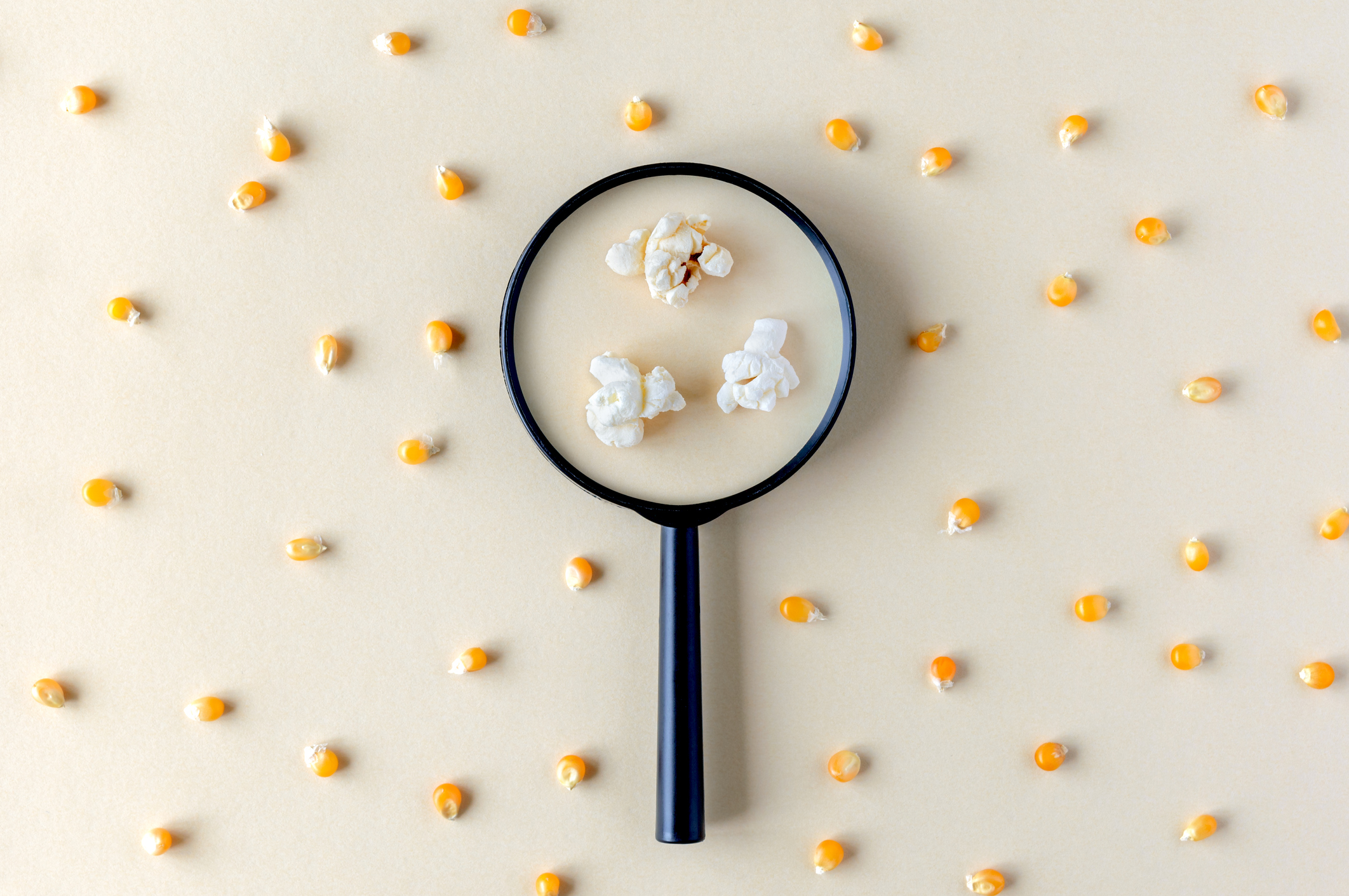 magnifying glass through which popcorn can be seen among corn