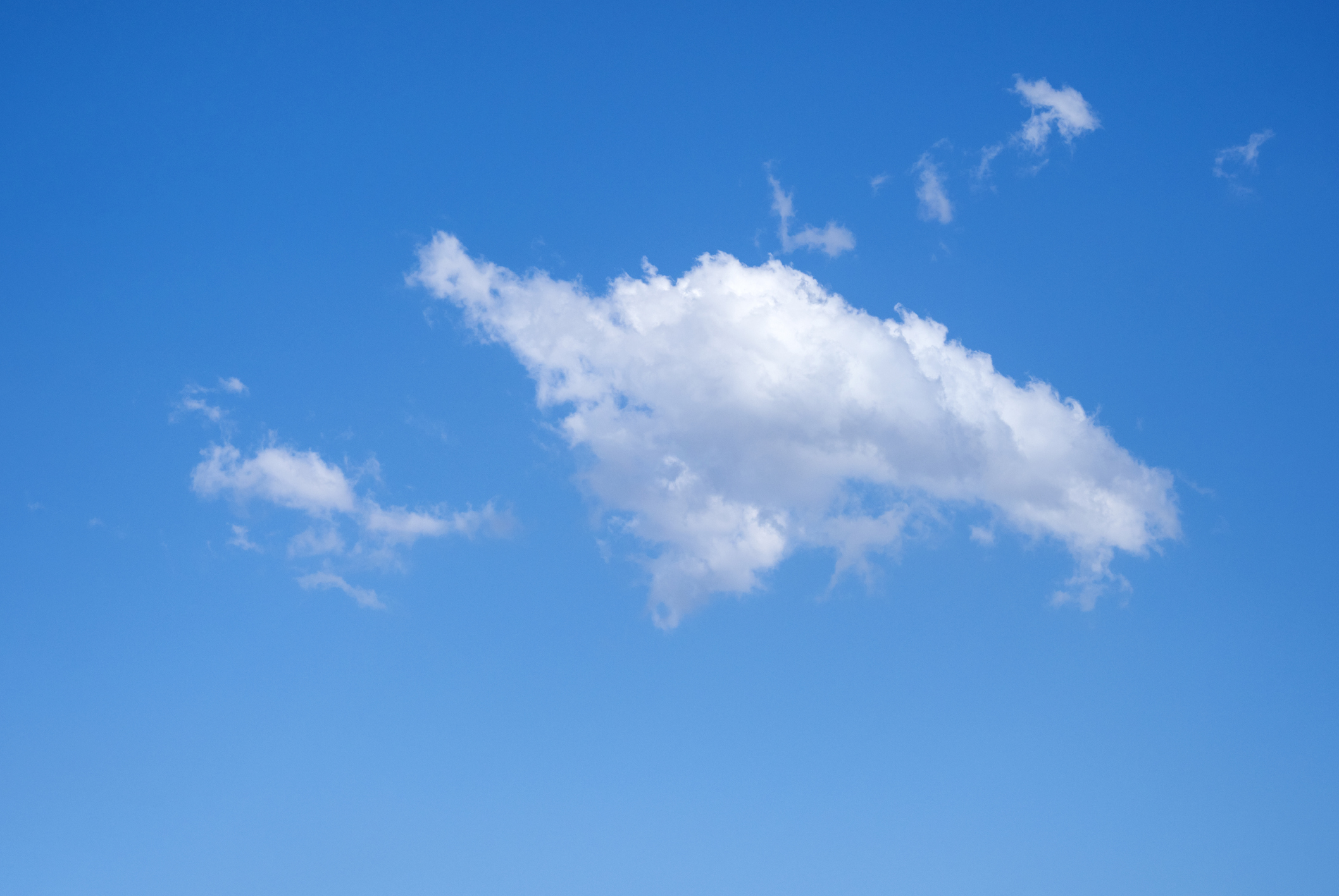 fluffy white cloud in a blue sky