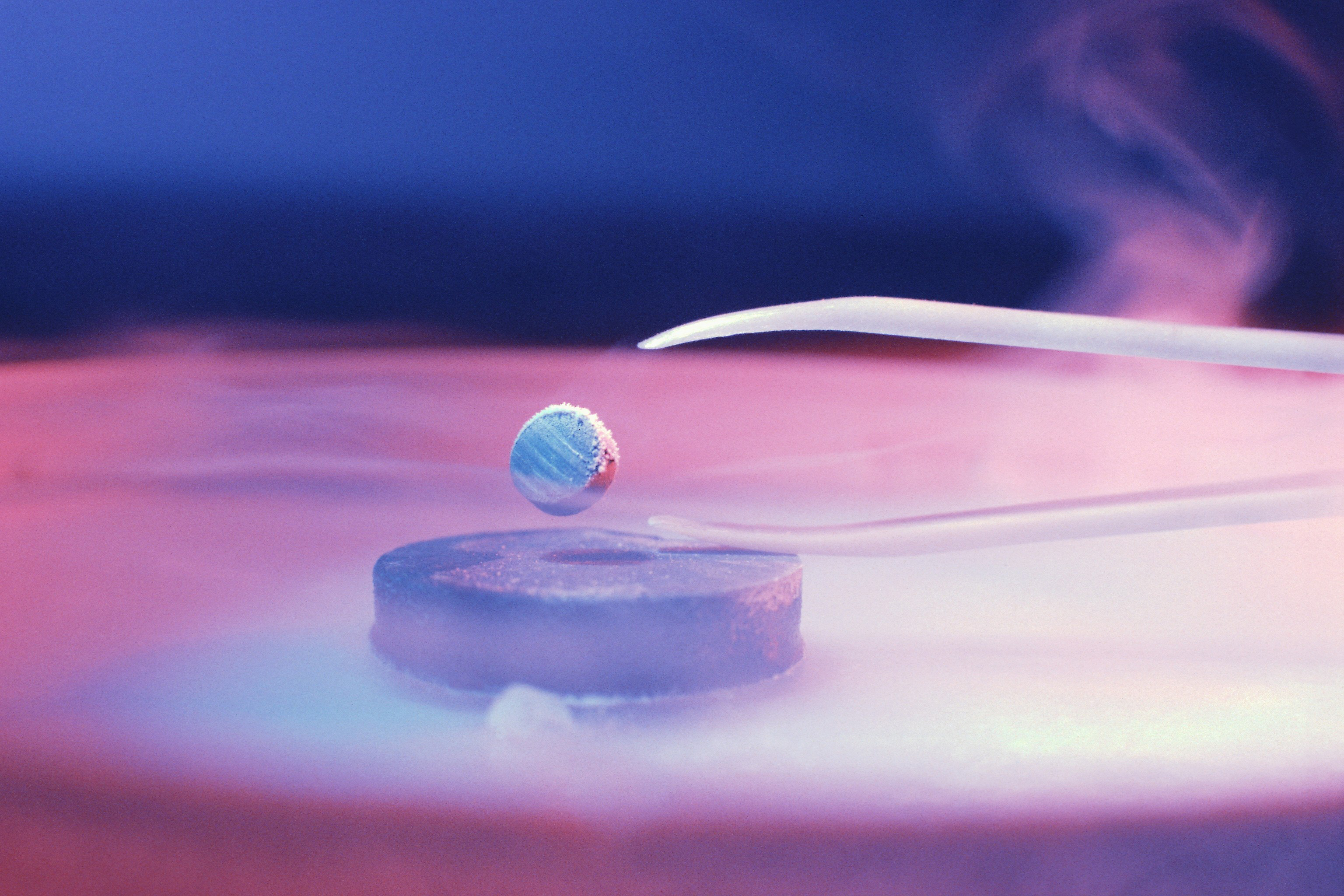 Image of a superconductor and tweezers.