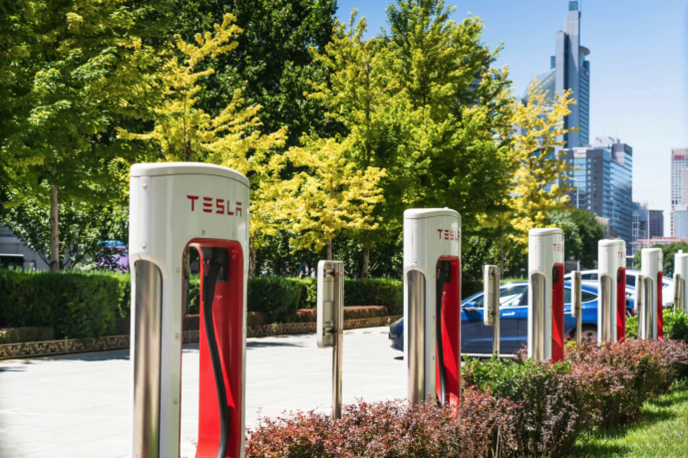 line of Tesla chargers
