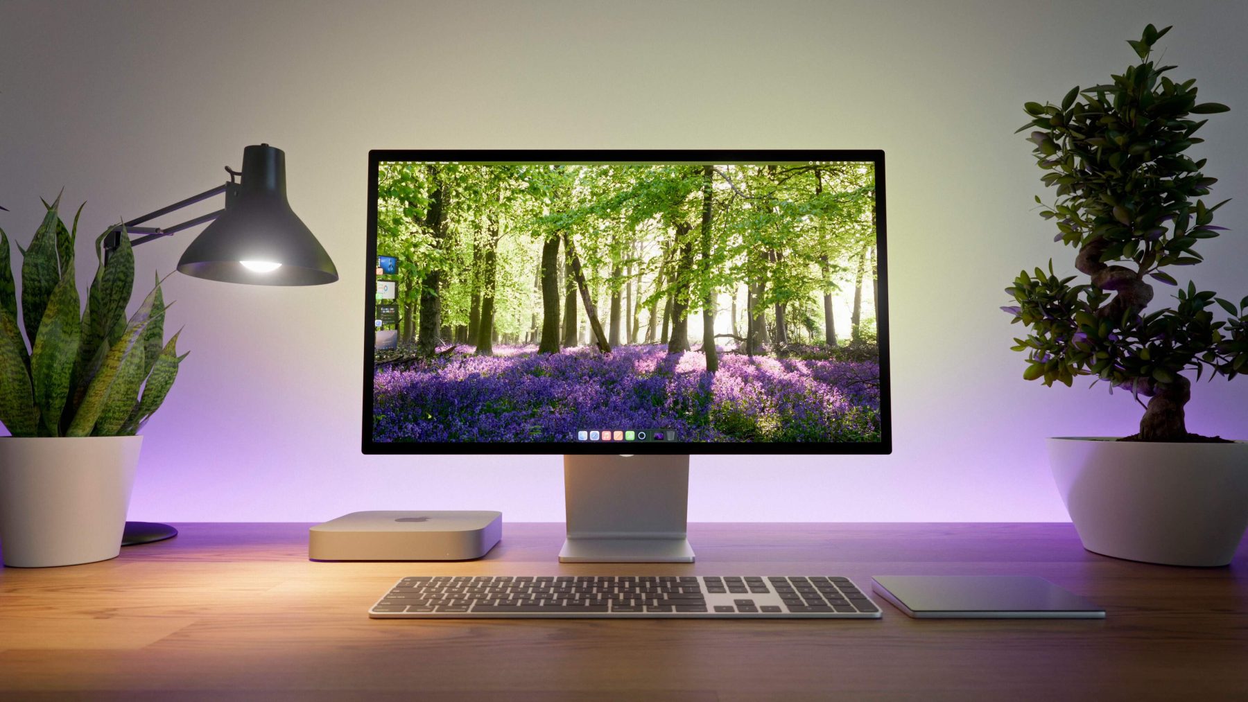 desktop computer flanked by a desk lamp and a potted plant