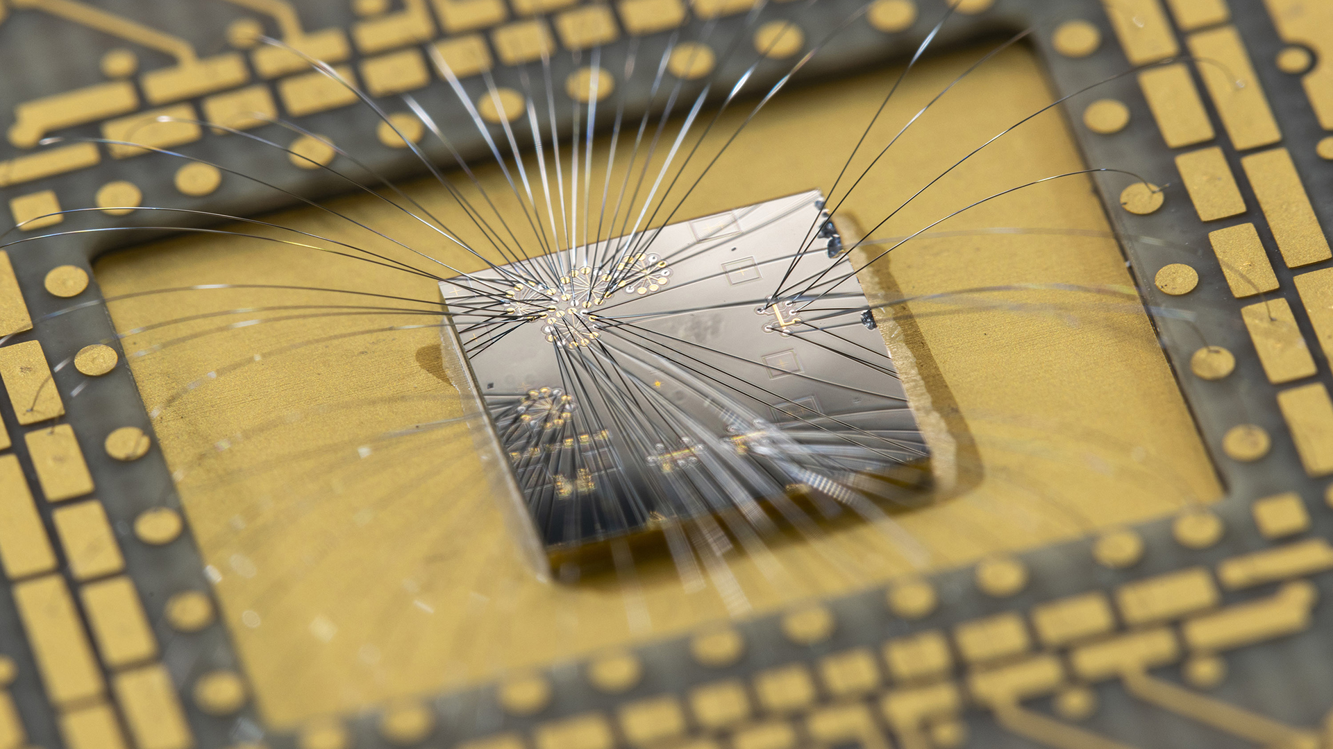 microchip