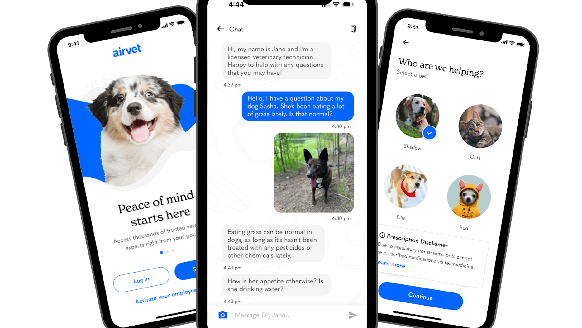 Airvet, pet telehealth