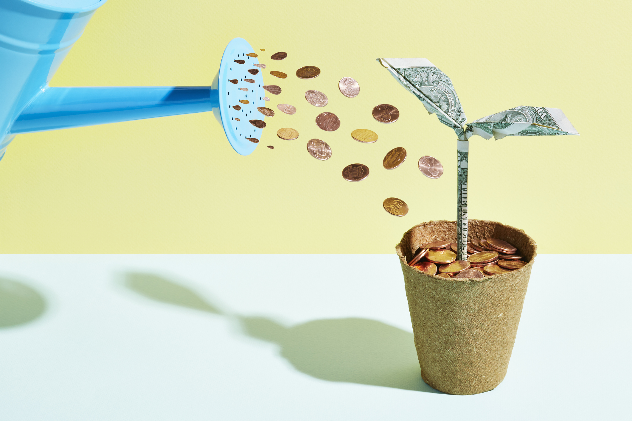 SaaS, growth, bootstrap. Watering can dripping coins on potted, sprouting dollar bill.