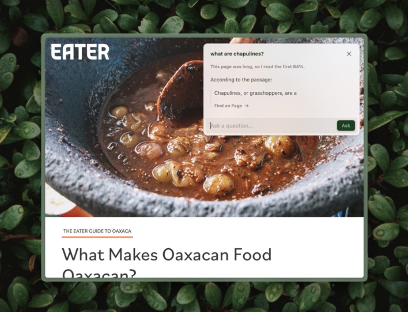 Arc browser