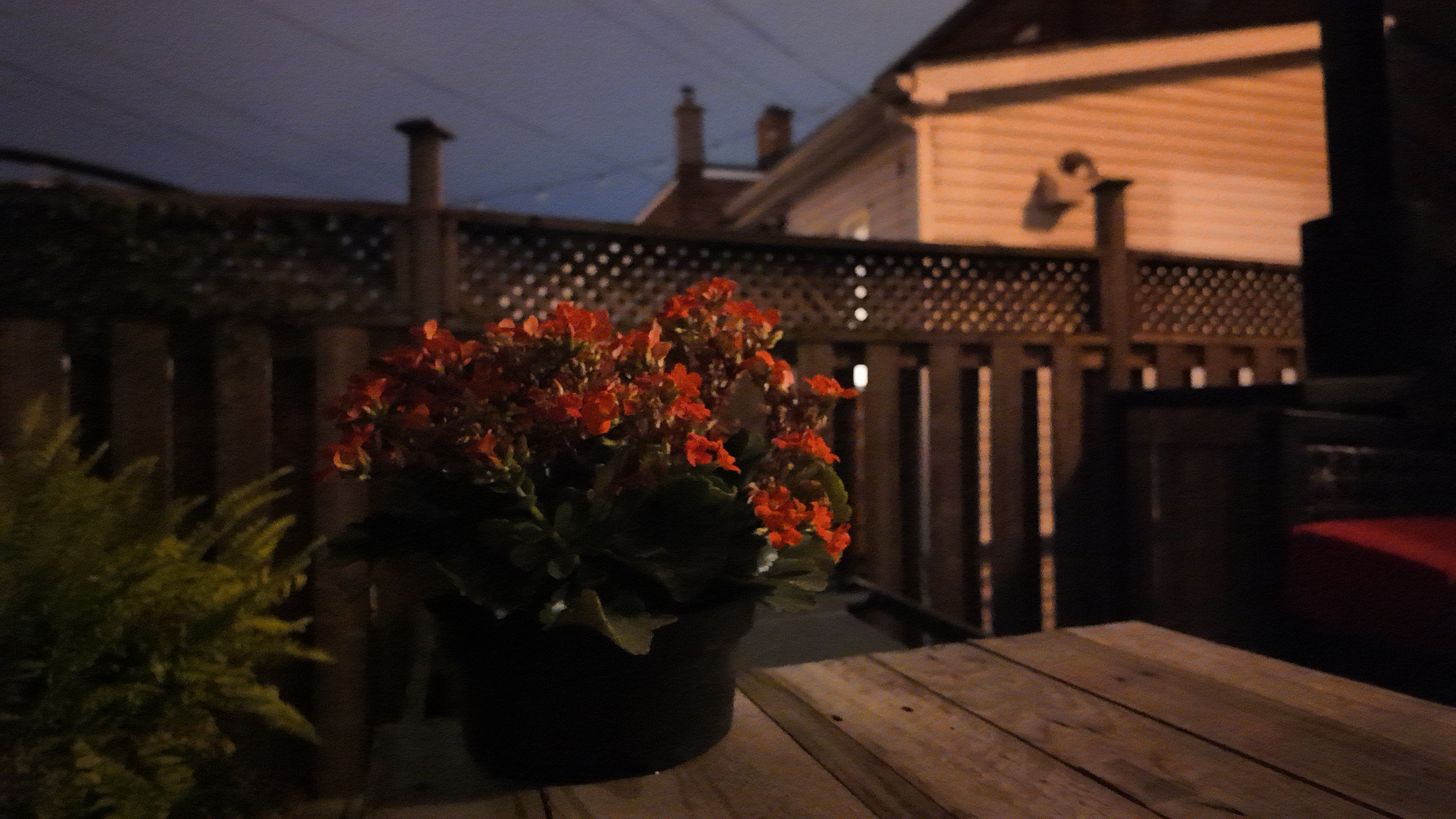 DJI Osmo Pocket 3 sample photo