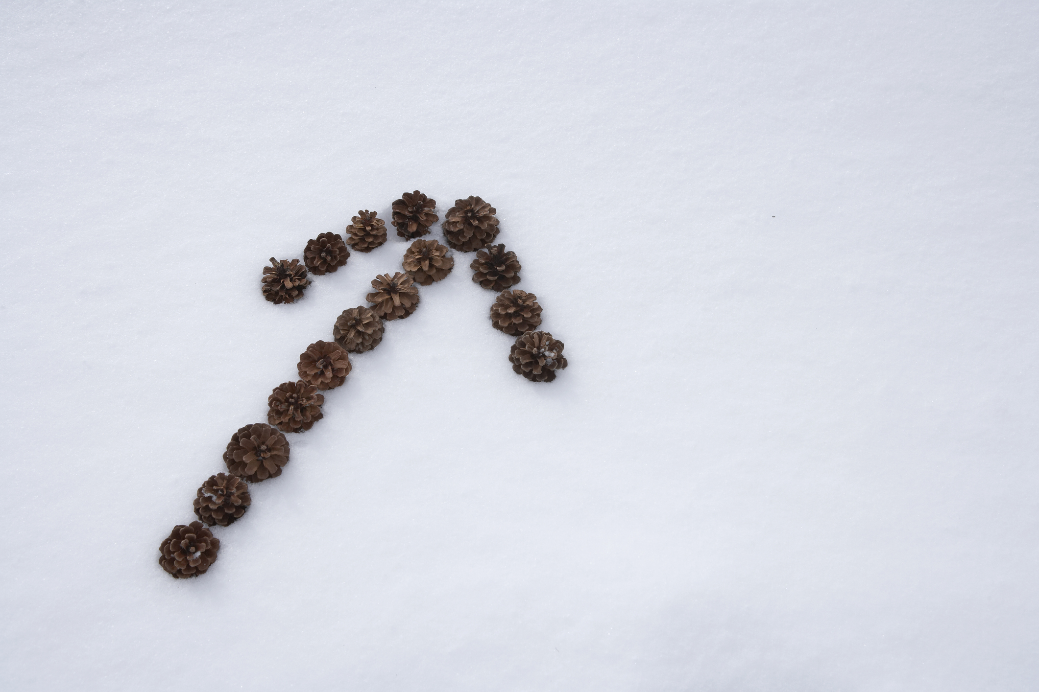 arrow sign made by pine cones