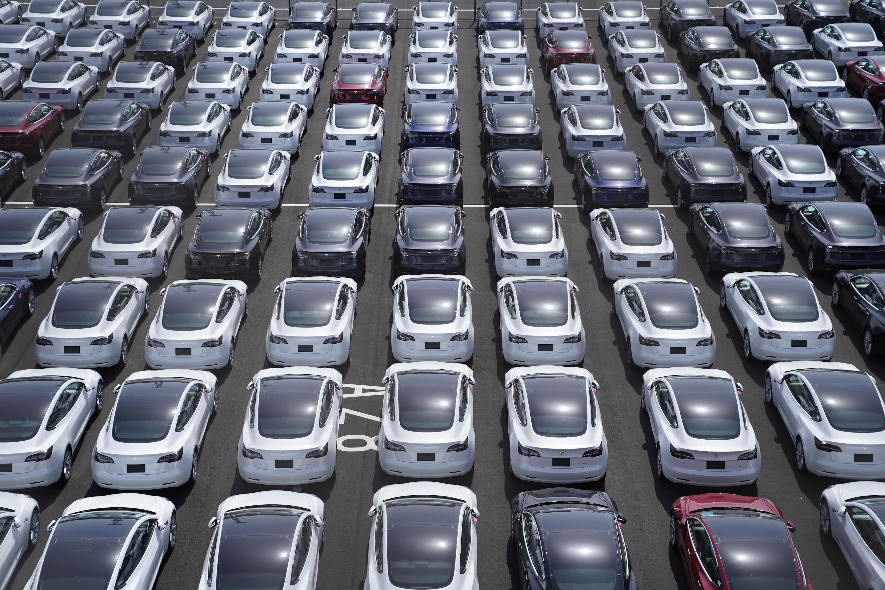 Rows of Tesla vehicles await delivery.