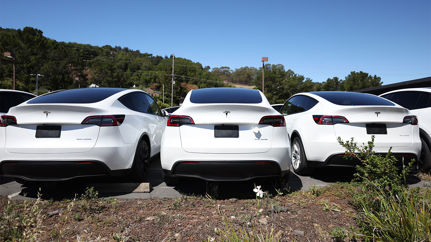 Brand new Tesla cars sit in a parking lot at a Tesla showroom.
