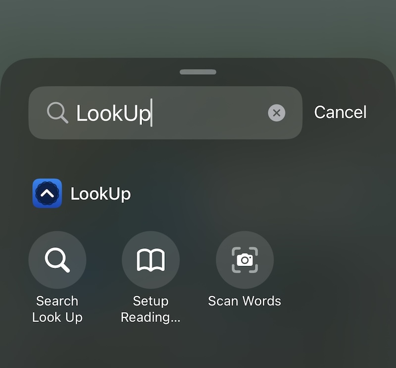 LookUp iOS 18 control widget