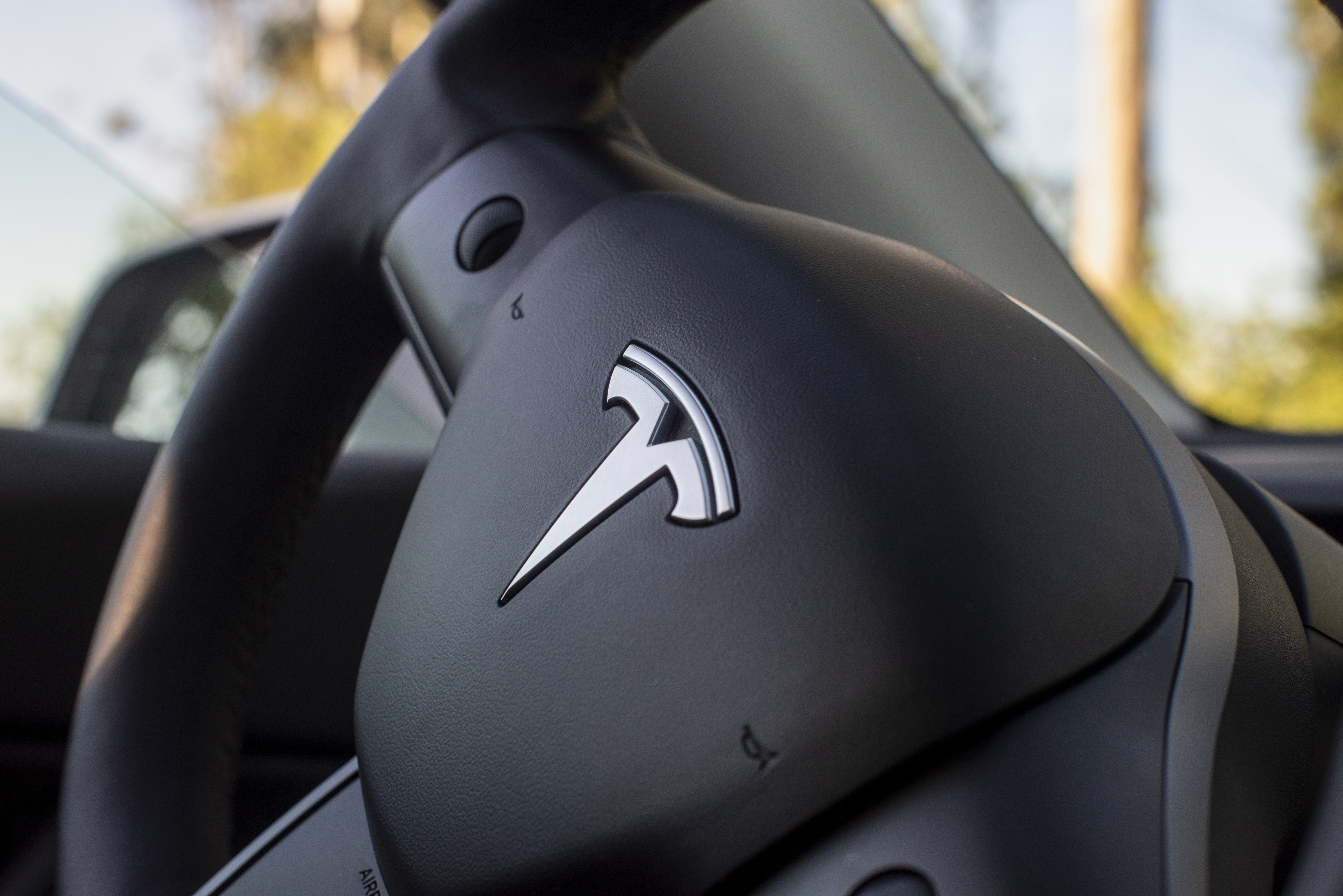 Tesla logo on steering wheel
