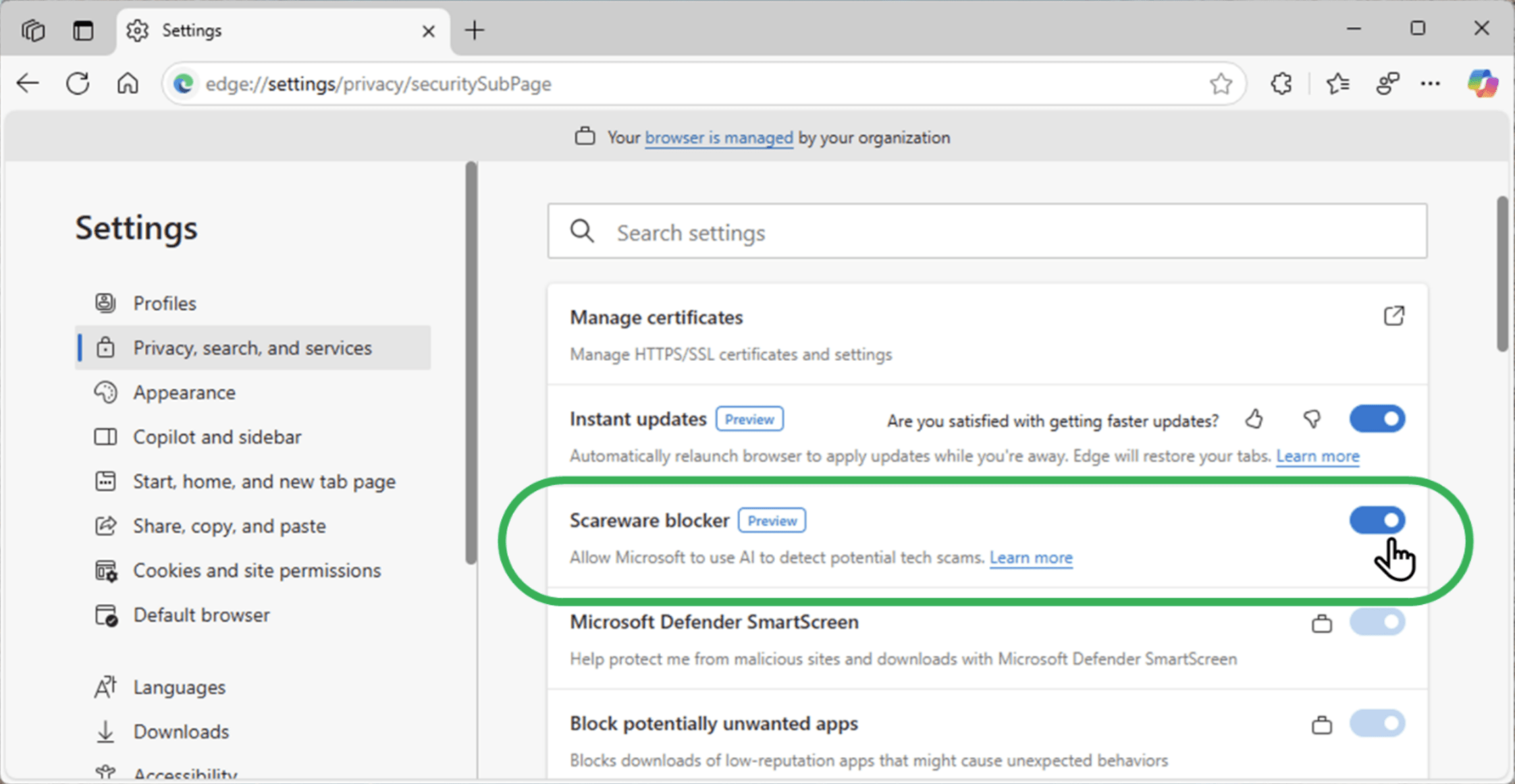 Activating scareware blocker