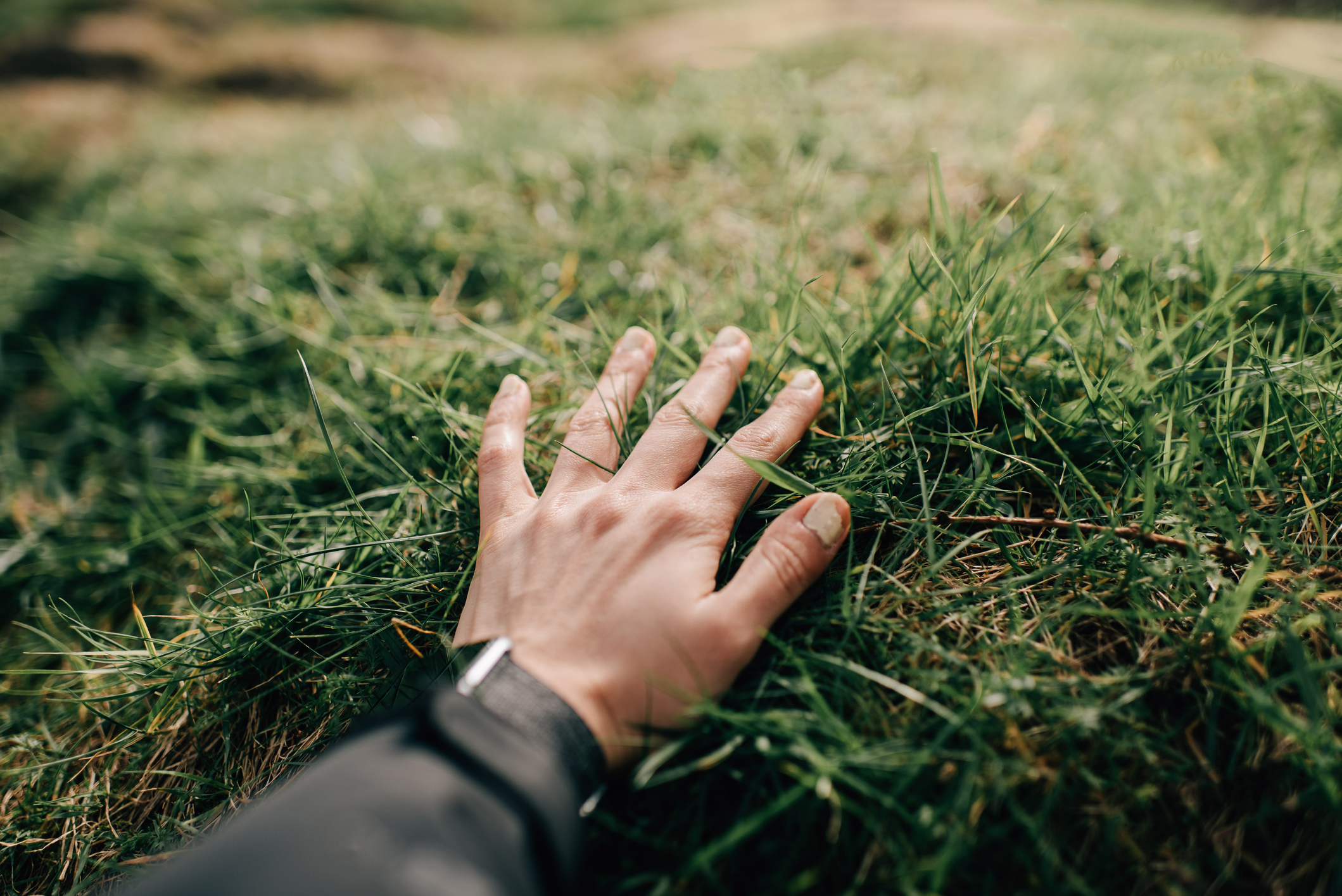 hand touching grass