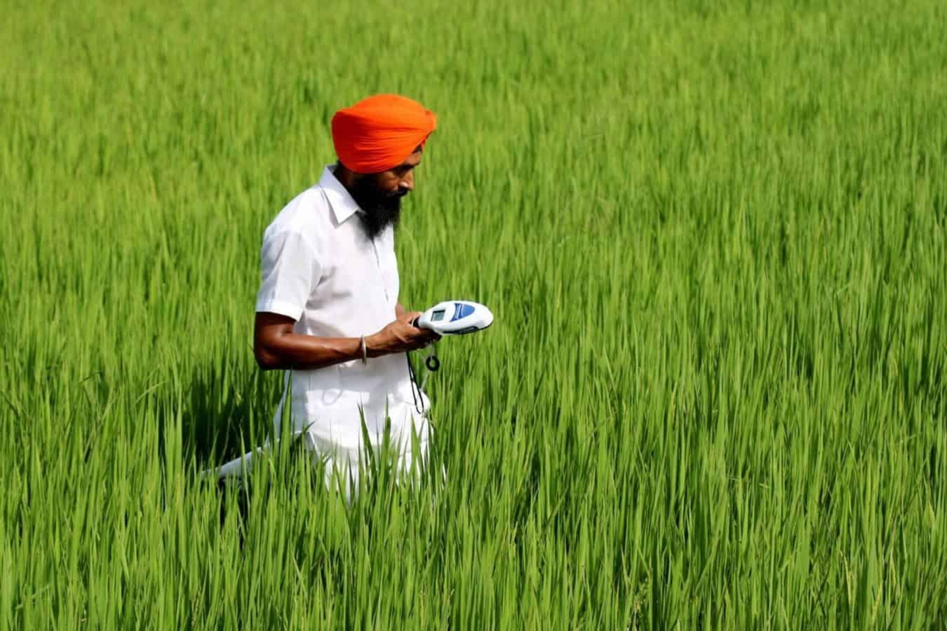 Varaha regenerative agriculture field experiment