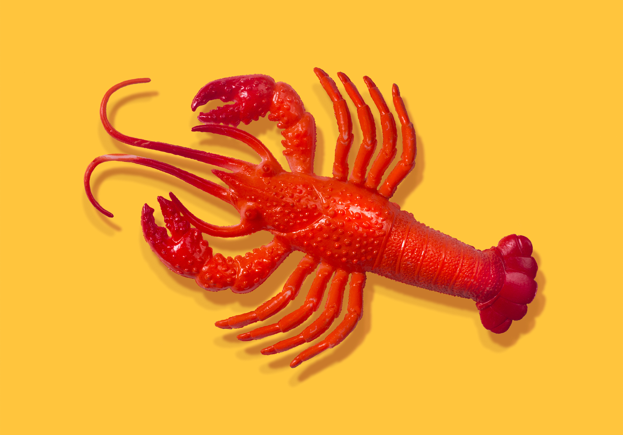 Red rubber lobster toy on yellow background