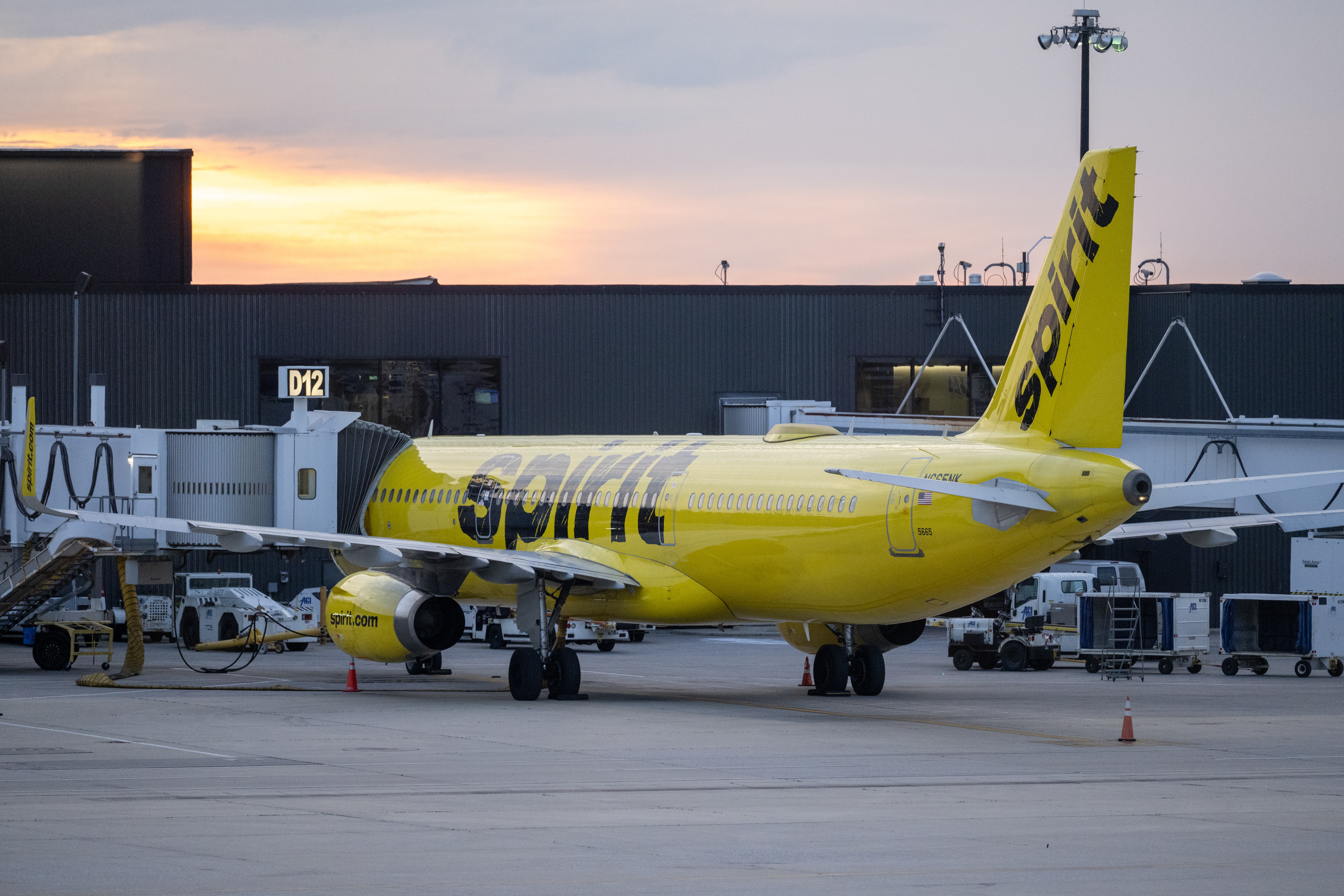 A Spirit Airlines airplane at an airport gate