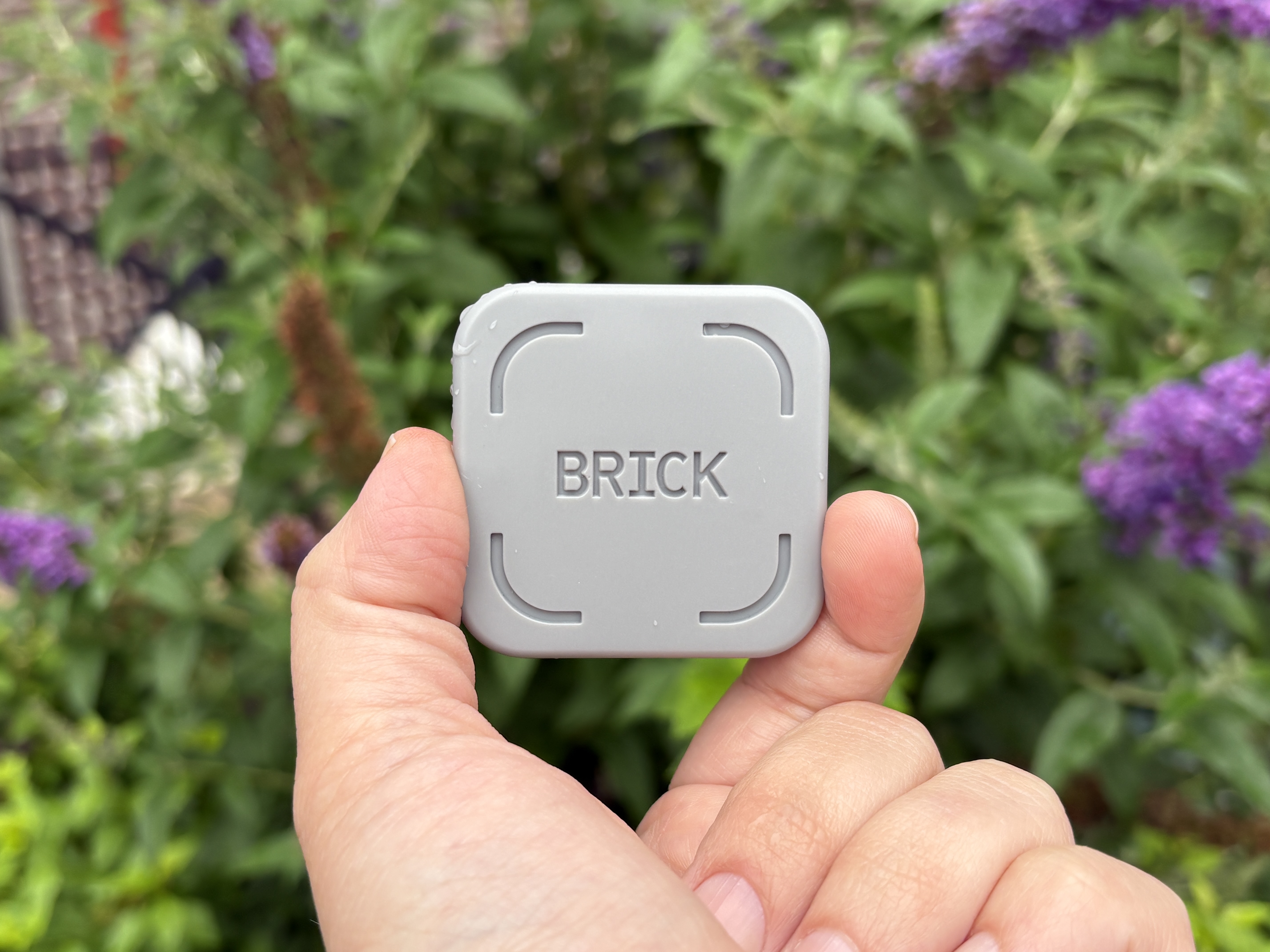 a Brick held between thumb and forefinger