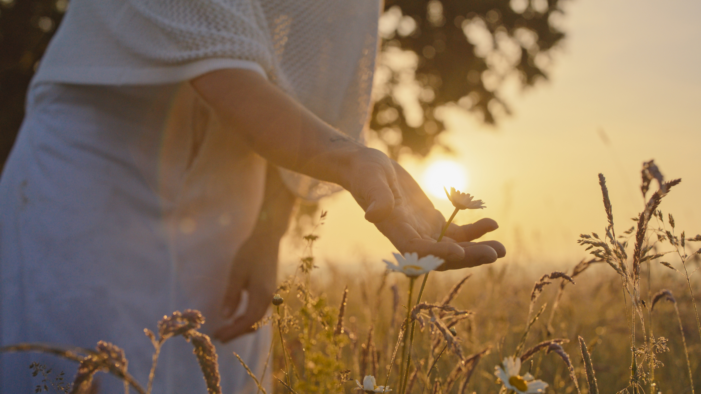Serene Outdoor Moment with Woman and Wildflowers at Dusk