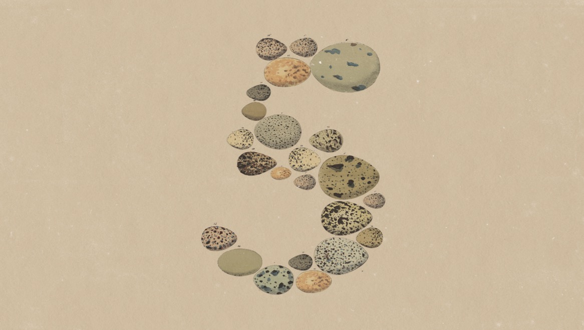 The numeral 5, spelled out with discrete stones