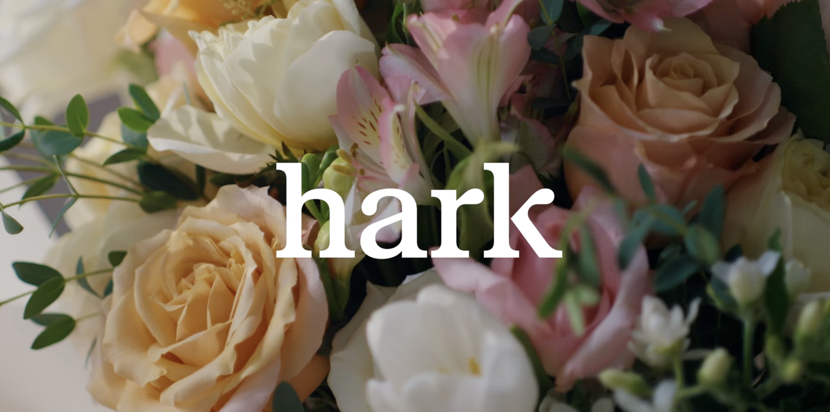 Hark over flower backdrop